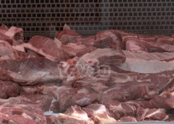 Për tre muaj u asgjësuan afër 1800 kg mish