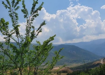 Parashikimi i motit në Shqipëri