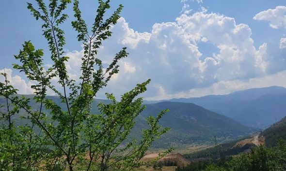 Parashikimi i motit në Shqipëri