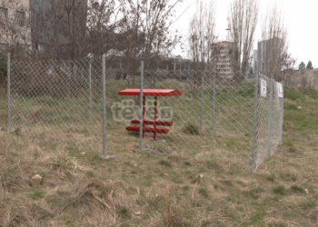 23 pika ushqyese për qentë endacakë, qytetarët e Prishtinës të pakënaqur me këtë vendim