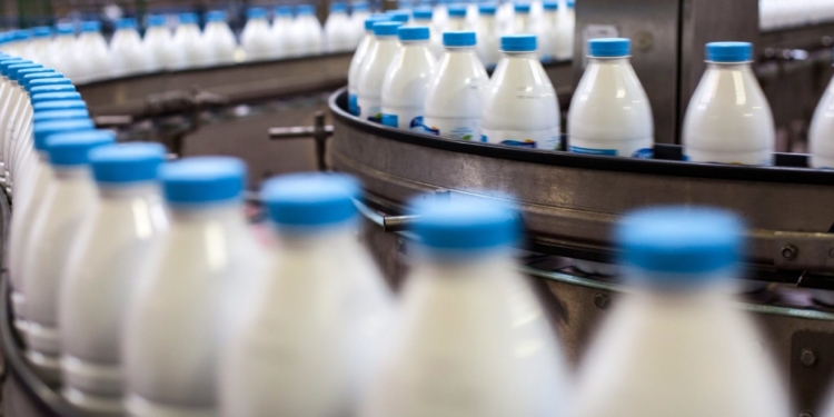 Shtrenjtohet qumështi i fermerit 50%; Shoqata e Përpunuesve: Rrezikohet falimentimi i fabrikave në Shqipëri