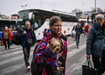 Rritet numri i njerëzve që po kthehen në Ukrainë, bie numri i atyre që duan të ikin