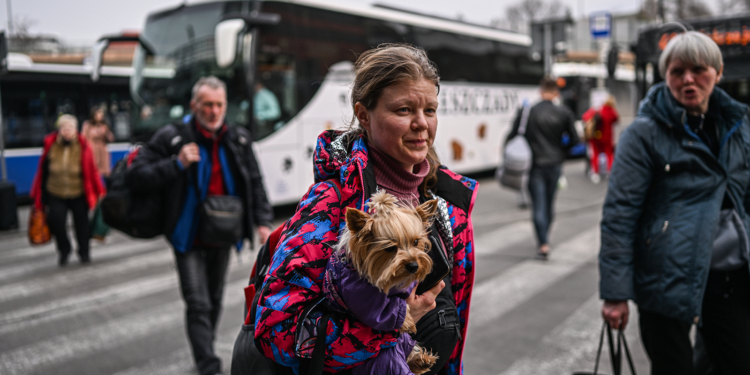 Rritet numri i njerëzve që po kthehen në Ukrainë, bie numri i atyre që duan të ikin
