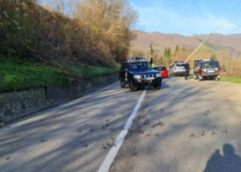 UNMIK-u dënon ashpër sulmet ndaj Policisë së Kosovës në veri