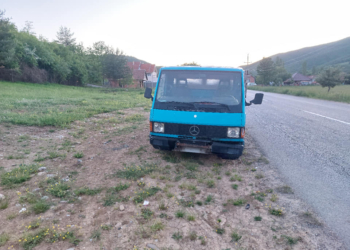 Policia parandalon kontrabandë me kafshë