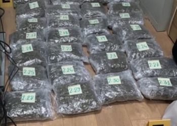 Arrestohet shtetasi i Shqipërisë për posedim të narkotikëve