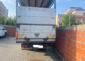 Policia parandalon futjen ilegale të disa kafshëve nga Maqedonia Veriore