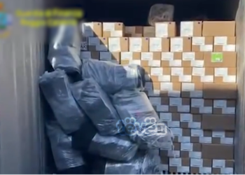 Një vit nga sekuestrimi i 400 kg kokainë, asnjë aktakuzë