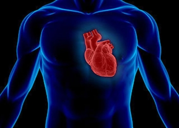 5 ushtrimet më të mira për shëndetin e zemrës