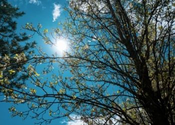 Moti sot në Kosovë