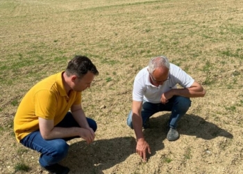 Peci: Politikat e Ministrisë së Bujqësisë do të jenë në dispozicion të bujqve punëtorë