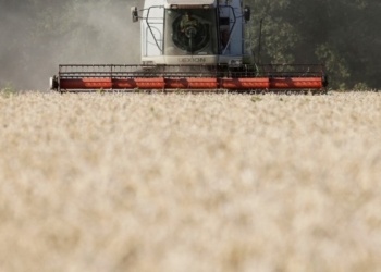 Ukrainës i mungon hapësira për ruajtjen e grurit për eksport