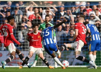 Unitedi poshtërohet në udhëtim te Brightoni