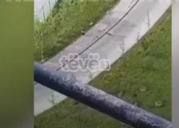 Momenti kur qentë endacakë i vërsulen një të riu në Prishtinë