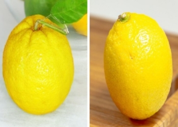 ​9 mënyra për të zgjedhur produkte të freskëta