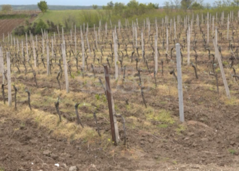 Mungesa e noterëve, telashe për bujqit