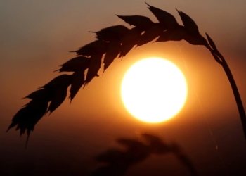 G7 synon t’i mbrojë shtetet e varfra nga pasojat e luftës në Ukrainë