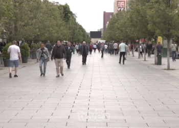 A rrezikohet Kosova nga lija e majmunëve?