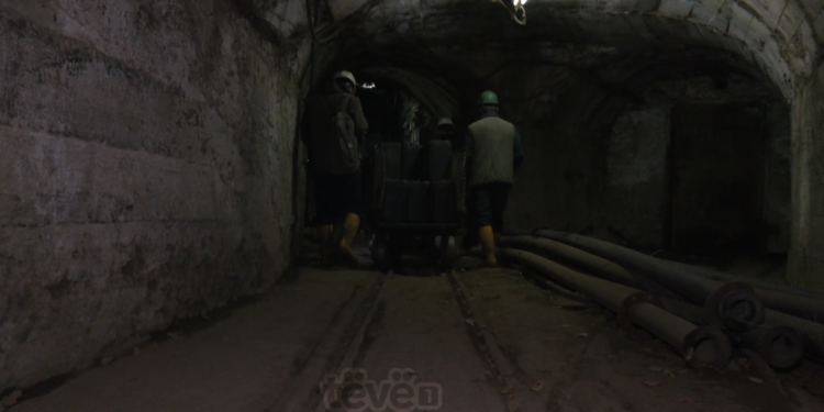 Trepça hap konkurs për 180 praktikantë