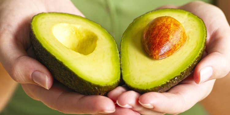 Bërthama e avokados – Vlerat çudibërëse për shëndetin