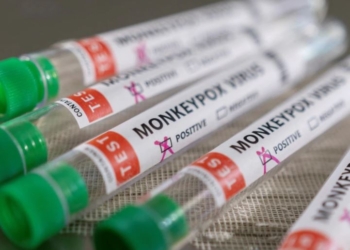 Sa të shqetësuar duhet të jemi nga lia e majmunëve?