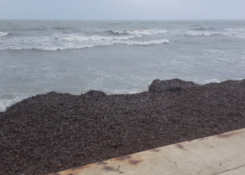 Nxirret nga deti trupi i pajetë i një burri në Durrës