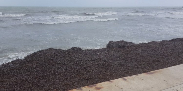 Nxirret nga deti trupi i pajetë i një burri në Durrës