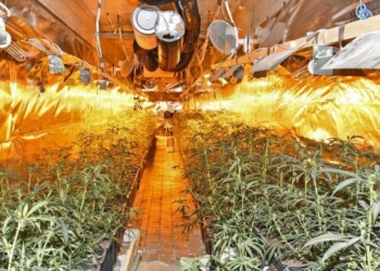 2 shqiptarë në Gjermani marrin me qira hotelin me 48 dhoma dhe e kthejnë në “Shtëpi bari” me kanabis