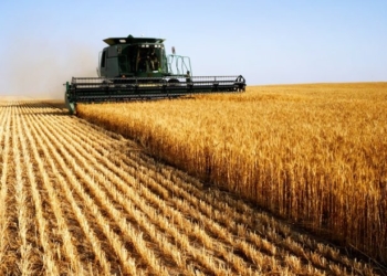 Importi i grurit, lufta ndryshoi çmimet dhe vendet e tregtisë