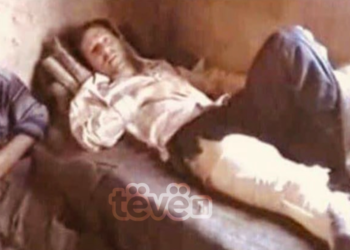 Gucati, lufta, plagosja e dënimi në paqe