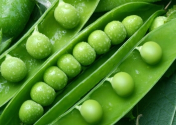 Vlerat e bizeleve të gjelbërta