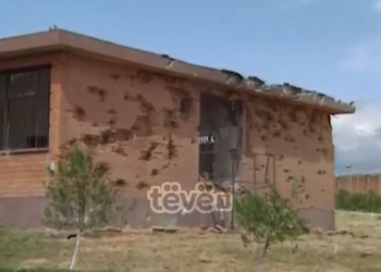 Plagët e hapura për 23 vjet