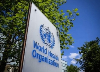 OBSH: Lija e majmunëve përhapet në Australi, Francë dhe Gjermani