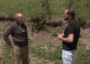 Gjenden eshtra në Zhiti të Podujevës – banorët tregojnë ngjarjen për tëvë1