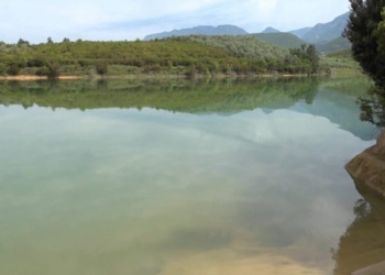 Gjenden të vdekur një 22 vjeçar dhe një 20 vjeçare në Tiranë, vetura e tyre u fundos në ujë