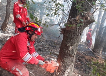 Neutralizohen vatrat e zjarrit në ishullin e Sazanit dhe Mirditë