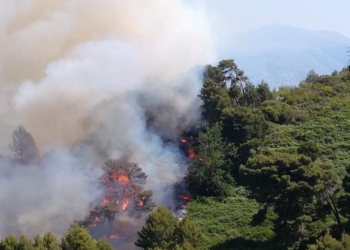 Tereni po vështirëson punën për shuarjen e zjarrit në Ishullin e Sazanit