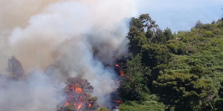 Tereni po vështirëson punën për shuarjen e zjarrit në Ishullin e Sazanit