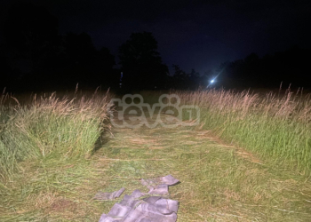 Arrestohet i dyshuari për vrasjen në Peran të Podujevës