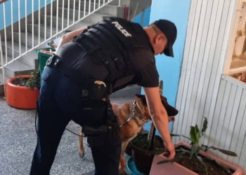 Policia e Kosovës: Alarmi për bombë në disa shkolla të Veriut është i rrejshëm