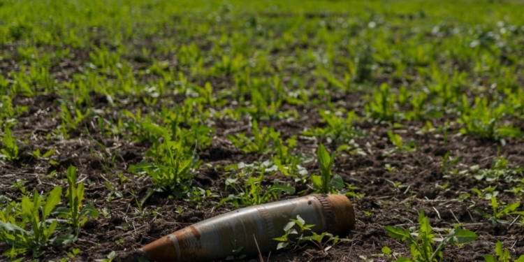 OKB paralajmëron rritjen e urisë kronike për shkak të luftës në Ukrainë