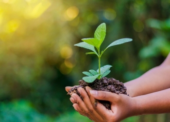 ​Dita Botërore e Mjedisit