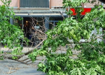 Dyshohet se një 30- vjeçar ka vdekur pasi u godit nga lisi që u rrëzua nga erërat e forta në Prishtinë
