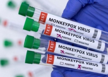 Zbulohen 77 raste të reja të lisë së majmunëve