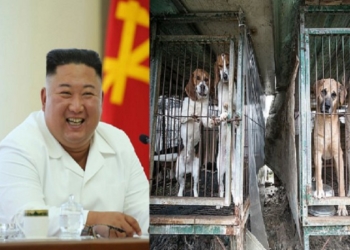 Koreja e Veriut ka raportuar raste të sëmundjeve të paidentifikuara