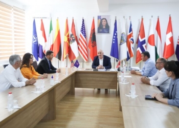 Memli Krasniqi në Viti: Koalicioni qeverisës po shënon progres