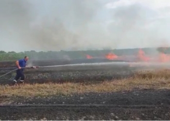 Temperaturat e larta shkaktojnë vatra zjarresh në rrethin e Vlorës