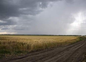 Shefi i NATO-s: Rritja e çmimit të ushqimeve pasojë e drejtpërdrejtë e luftës së Rusisë