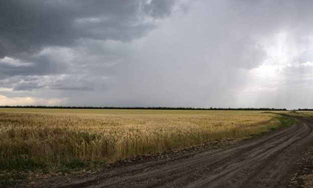 Shefi i NATO-s: Rritja e çmimit të ushqimeve pasojë e drejtpërdrejtë e luftës së Rusisë