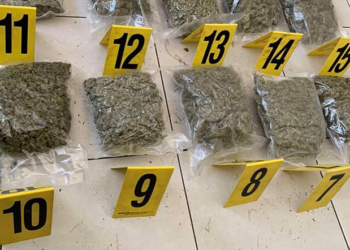 Policia sekuestron rreth 18 kg marihuanë në Prizren